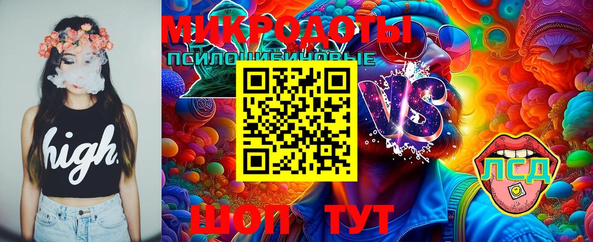 Галлюциногенные грибы Psilocybine cubensis  Вход с VPN  Псилоцибиновые грибы мухоморы  Белово 